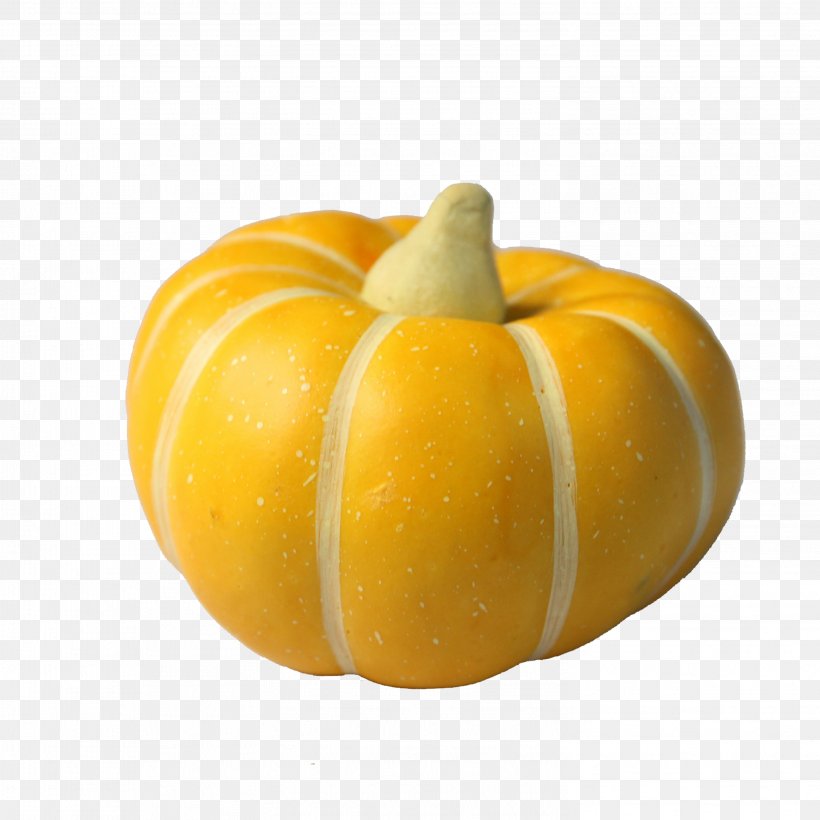 Pumpkin Calabaza Gourd Winter Squash, PNG, 2953x2953px, Pumpkin, Auglis, Calabaza, Cucumber Gourd And Melon Family, Cucurbita Download Free
