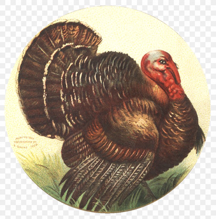 Wild Turkey Domestic Turkey Thanksgiving Turkey Meat, PNG, 976x992px, Wild Turkey, Bird, Cranberry Sauce, Dishware, Domestic Turkey Download Free
