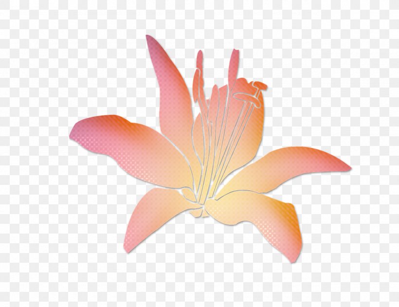 Flower Blume Public Domain Pink, PNG, 1280x986px, Flower, Blume, Cut Flowers, Gratis, Orange Download Free