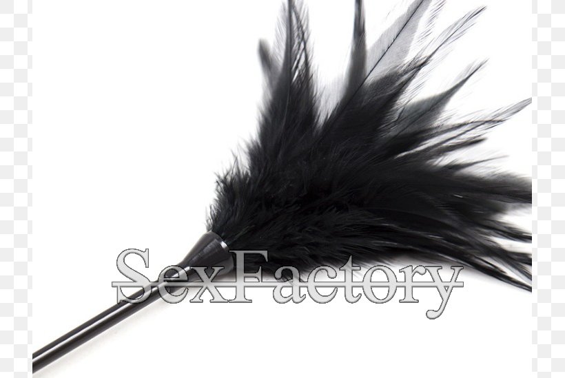 Feather White Black M, PNG, 725x549px, Feather, Black, Black And White, Black M, Tail Download Free