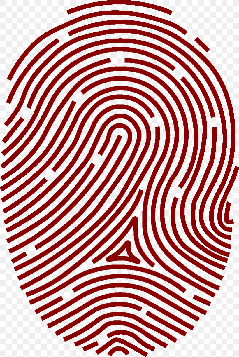 Fingerprint Clip Art Vector Graphics Biometrics Transparency, PNG, 821x1225px, Fingerprint, Area, Biometrics, Black And White, Fingerprint Scanner Download Free