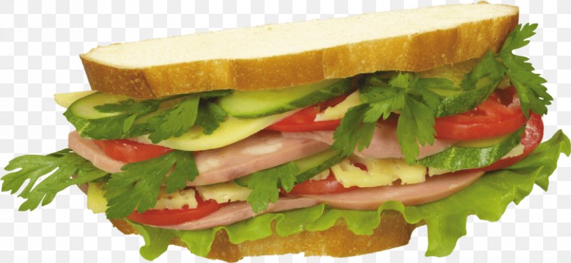 Hamburger Breakfast Sandwich Sausage Sandwich Cheese Sandwich Submarine Sandwich, PNG, 850x392px, Hamburger, Bacon Sandwich, Blt, Breakfast Sandwich, Cheese Download Free