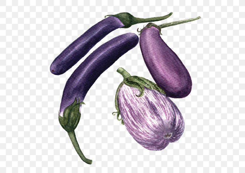 Vegetable Eggplant Food San Marzano Tomato, PNG, 560x580px, Vegetable, Arborio Rice, Cucumber, Eggplant, Food Download Free