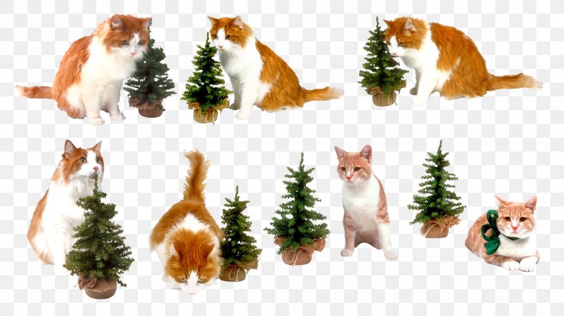 Cat New Year Tree Clip Art, PNG, 2508x1404px, Cat, Animal Figure, Carnivoran, Cat Like Mammal, Christmas Download Free