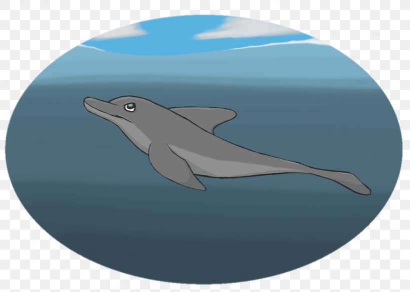 Common Bottlenose Dolphin Short-beaked Common Dolphin Wholphin Tucuxi, PNG, 1008x720px, Common Bottlenose Dolphin, Bottlenose Dolphin, Dolphin, Fauna, Fin Download Free