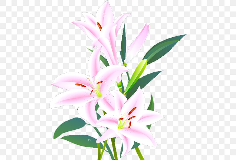 Lilium Floral Design Cut Flowers Leaf, PNG, 478x557px, Lilium, Cut Flowers, Fleurdelis, Flora, Floral Design Download Free