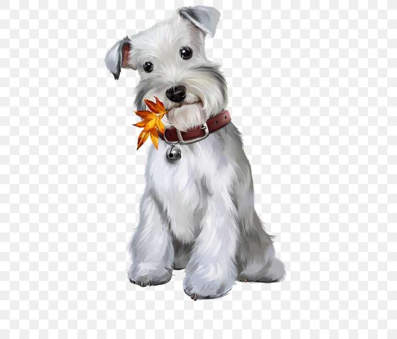 Miniature Schnauzer Puppy Pembroke Welsh Corgi Fox, PNG, 543x700px, Miniature Schnauzer, Animal, Carnivoran, Companion Dog, Dog Download Free