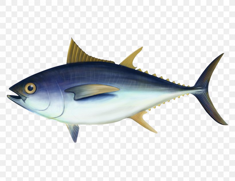 Bigeye Tuna Swordfish Euthynnus Lineatus Delivery, PNG, 1000x773px, Bigeye Tuna, Albacore, Atlantic Bluefin Tuna, Atlantic Mackerel, Bonito Download Free