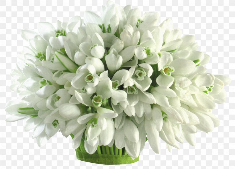 Flower Bouquet Snowdrop Petal Wallpaper, PNG, 3307x2383px, Flower Bouquet, Color, Cut Flowers, Floral Design, Floristry Download Free