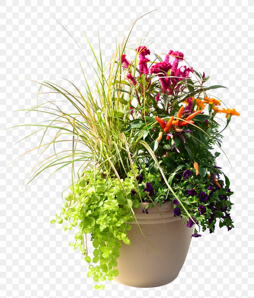Homestead Gardens Annual Plant Houseplant Cut Flowers, PNG, 900x1060px, Homestead Gardens, Annual Plant, Artificial Flower, Coleus, Cut Flowers Download Free