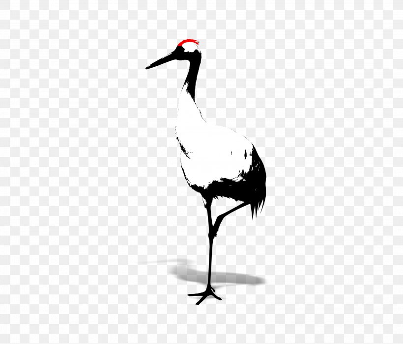 Red-crowned Crane Bird White, PNG, 3049x2607px, Crane, Anatidae, Animal, Beak, Bird Download Free