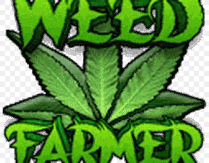 Weed Farmer Overgrown Weed Farmer University Wiz Khalifa's Weed Farm Happy Weed Farm, PNG, 800x640px, Weed Farmer, Android, Cannabis, Cannabis Cultivation, Drug Download Free