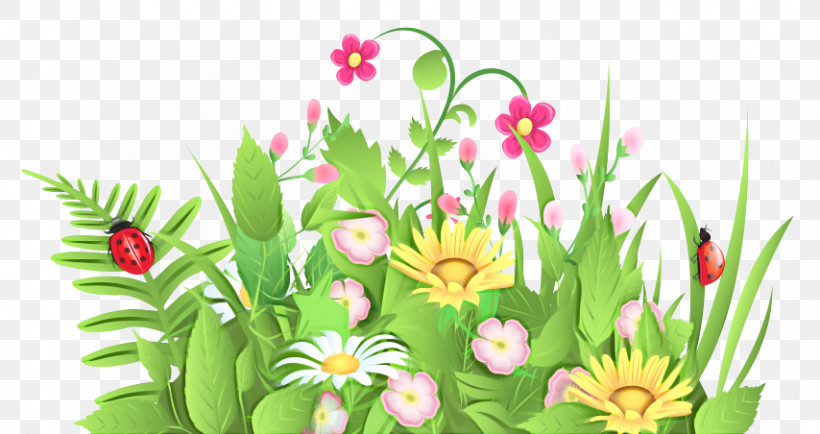 Floral Design, PNG, 854x452px, Floral Design, Cartoon, Drawing, Flower, Junior Carnival Download Free