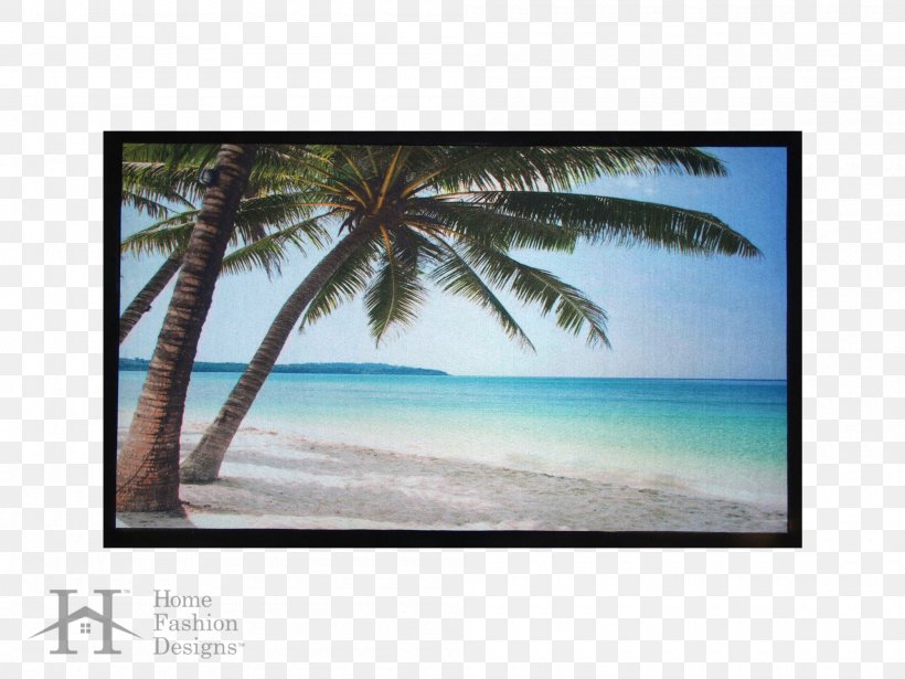 Mat Arecaceae Shore Beach Picture Frames, PNG, 2000x1500px, Mat, Arecaceae, Arecales, Beach, Caribbean Download Free