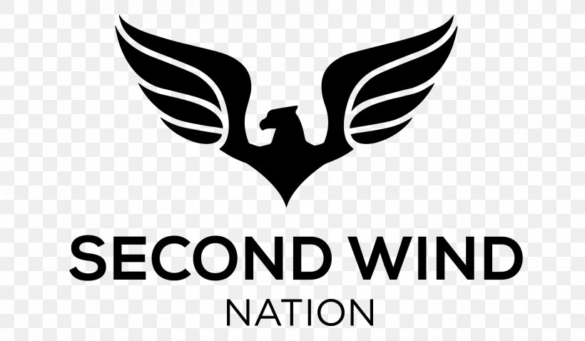 Bird Phoenix Eagle Symbol, PNG, 1905x1111px, Bird, Black And White, Brand, Eagle, Falcon Download Free