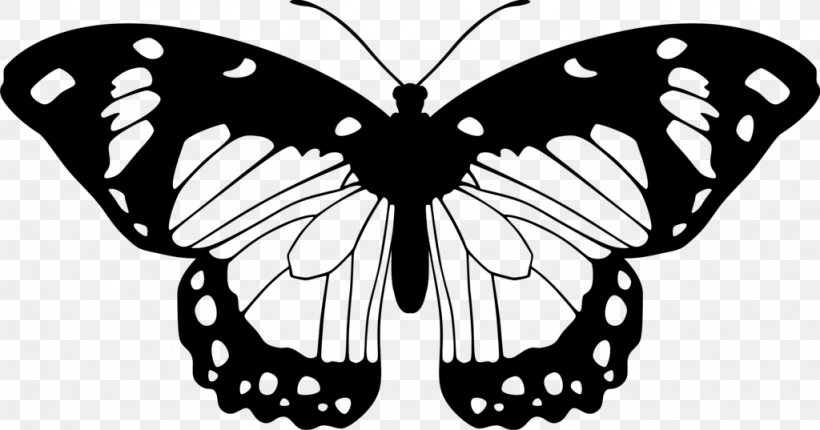 Butterfly Black And White Clip Art, PNG, 1024x537px, Butterfly, Art, Arthropod, Black And White, Brush Footed Butterfly Download Free