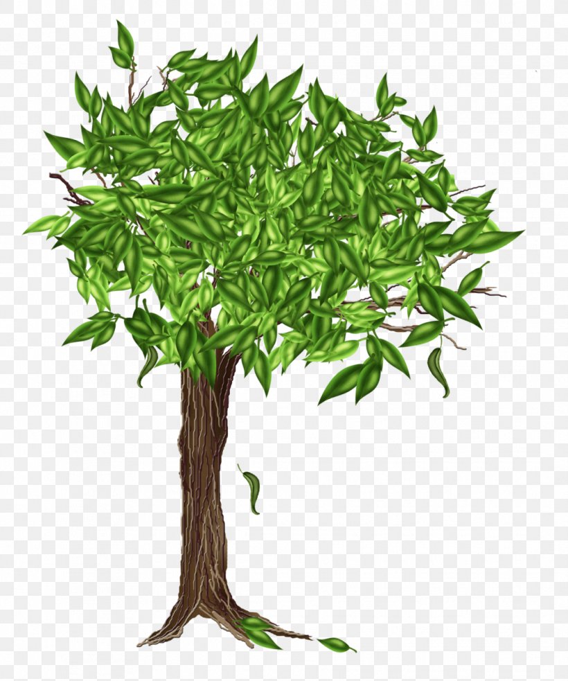 Drawing Tree Clip Art, PNG, 1067x1280px, Drawing, Branch, Digital Image, Flowerpot, Grass Download Free
