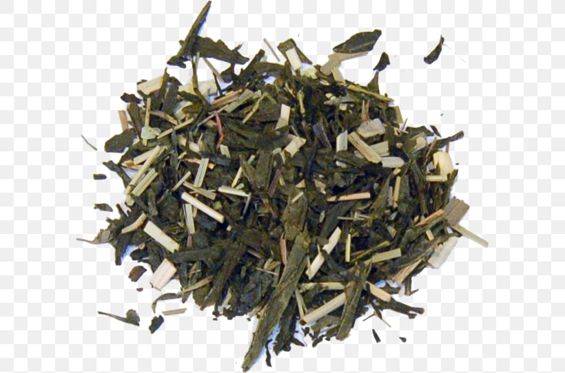 Nilgiri Tea Hōjicha Tea Plant, PNG, 600x542px, Nilgiri Tea, Assam Tea, Bai Mudan, Bancha, Biluochun Download Free