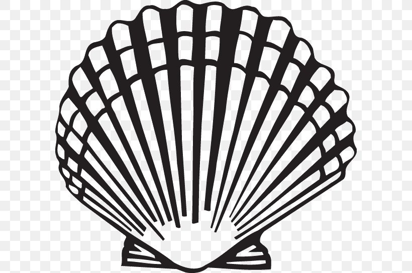 Scallop Clam Seashell Clip Art, PNG, 600x544px, Scallop, Art, Beach, Black And White, Clam Download Free