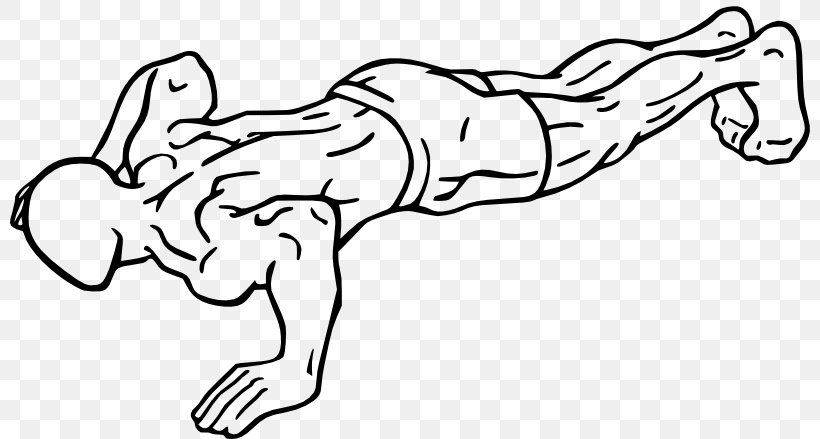 Bodyweight Exercise Push-up Fitness Centre Health, PNG, 800x439px, Watercolor, Cartoon, Flower, Frame, Heart Download Free