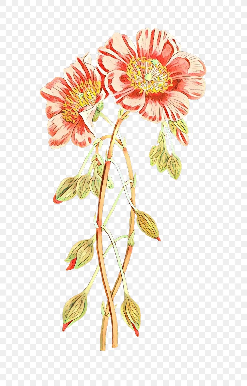 Chrysanthemum Transvaal Daisy Floral Design Cut Flowers, PNG, 744x1280px, Chrysanthemum, Botany, Cut Flowers, Dahlia, Floral Design Download Free
