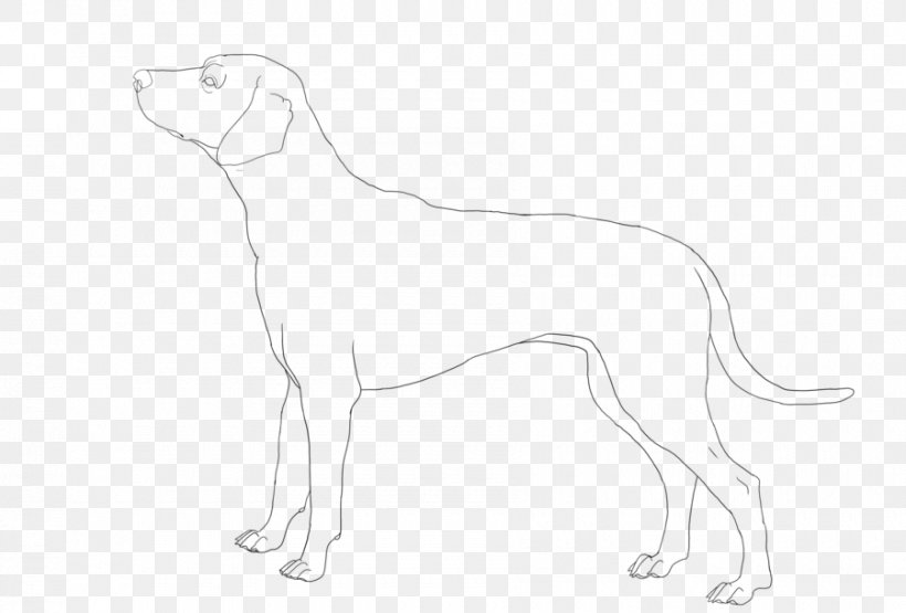 Dalmatian Dog Italian Greyhound Whippet Line Art Drawing, PNG, 900x610px, Dalmatian Dog, Animal, Art, Artwork, Black And White Download Free