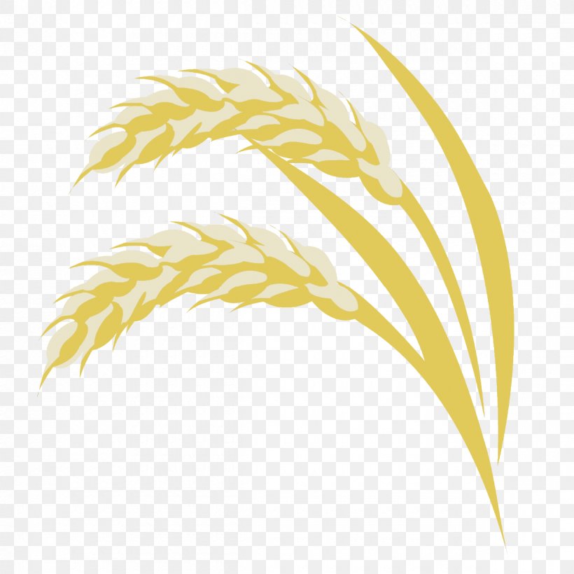 Grasses Commodity Line Family, PNG, 1200x1200px, Grasses, Commodity, Family, Grass Family, Yellow Download Free