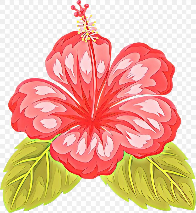 Hibiscus Hawaiian Hibiscus Flower Petal Plant, PNG, 2766x3000px, Cartoon, Anthurium, Chinese Hibiscus, Flower, Flowering Plant Download Free