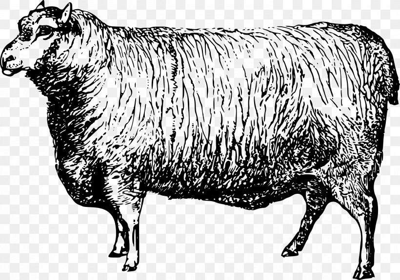 Merino Ox Texas Longhorn Bighorn Sheep Saanen Goat, PNG, 2400x1685px, Merino, Bighorn Sheep, Black And White, Bovid, Caprinae Download Free
