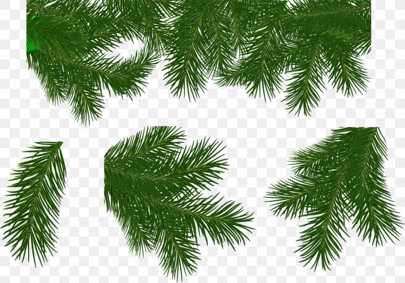 Spruce Christmas Ornament New Year Tree, PNG, 1280x897px, Spruce, Biome, Branch, Christmas, Christmas Ornament Download Free