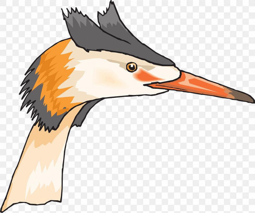 Beak Bird Heron Duck Clip Art, PNG, 1280x1072px, Beak, Bird, Crow, Duck, Ducks Geese And Swans Download Free