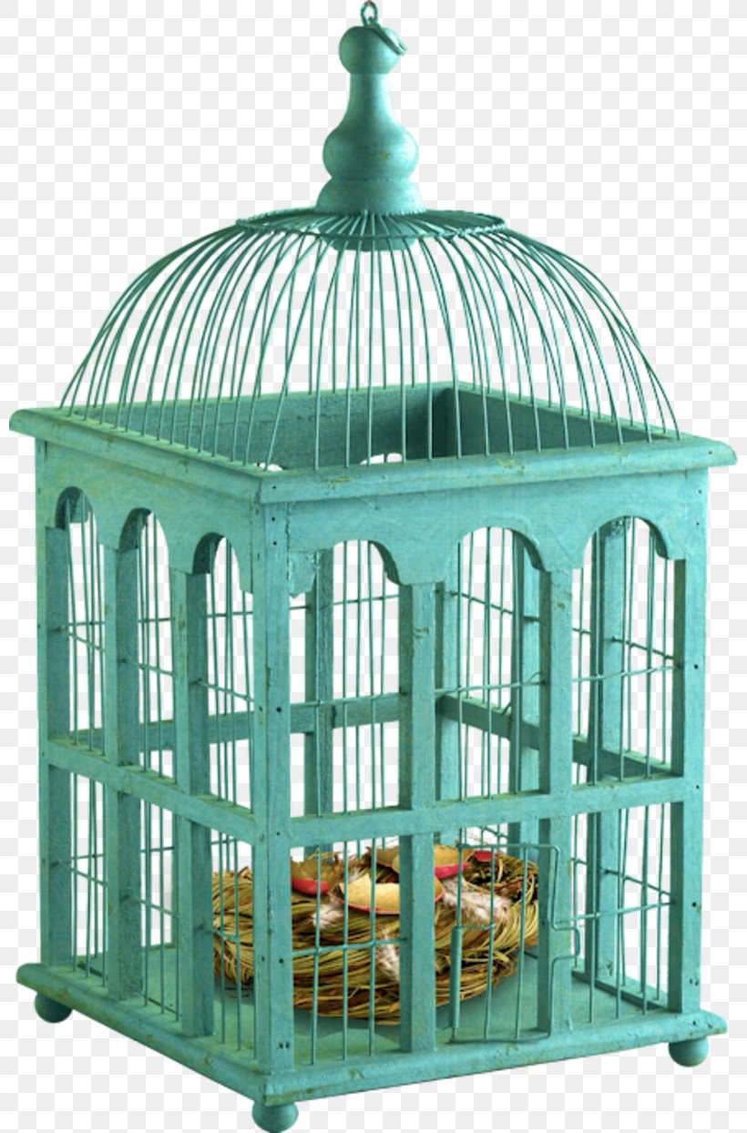 Birdcage Domestic Canary Interior Design Services, PNG, 800x1244px, Bird, Bird Feeders, Birdcage, Cage, Centrepiece Download Free