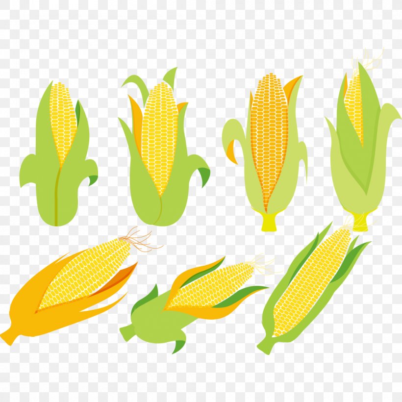 Corn On The Cob Maize Corncob Euclidean Vector, PNG, 1000x1000px, Corn On The Cob, Cereal, Commodity, Corn Kernel, Corncob Download Free