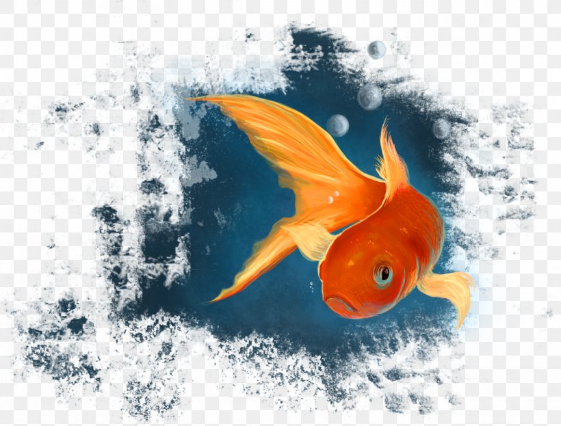 Goldfish Koi Desktop Wallpaper Marine Biology, PNG, 1280x973px, Goldfish, Biology, Bony Fish, Computer, Fauna Download Free