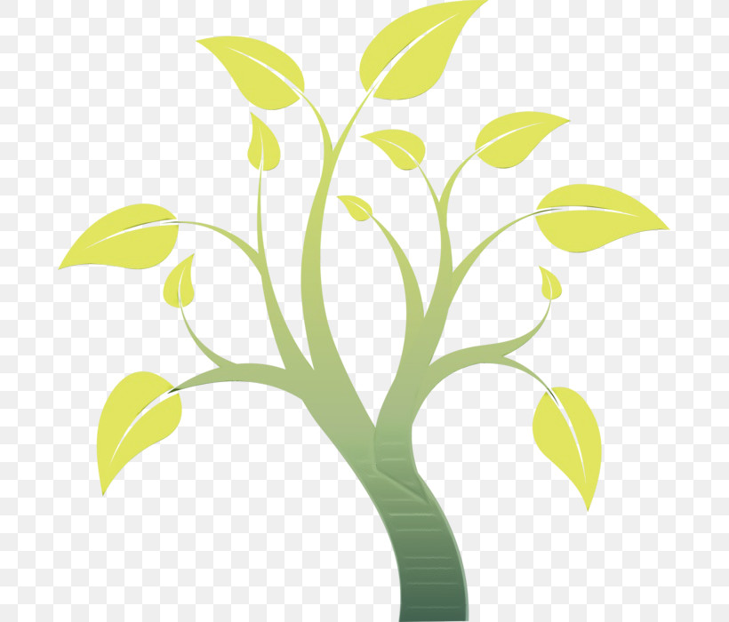 Green Leaf Yellow Plant Flower, PNG, 689x700px, Watercolor, Alismatales, Flower, Grass, Green Download Free