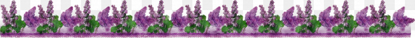 Lavender, PNG, 4699x430px, Flower Border, Floral Line, Flower Background, Green, Lavender Download Free