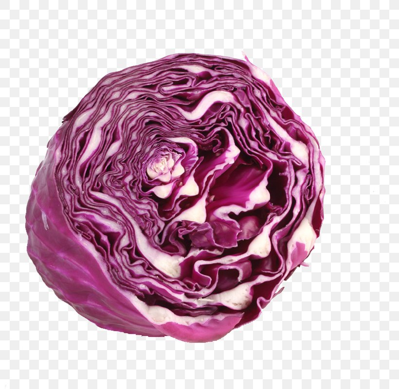 Red Cabbage Vegetable, PNG, 800x800px, Cabbage, Brassica Oleracea, Chinese Cabbage, Food, Gratis Download Free