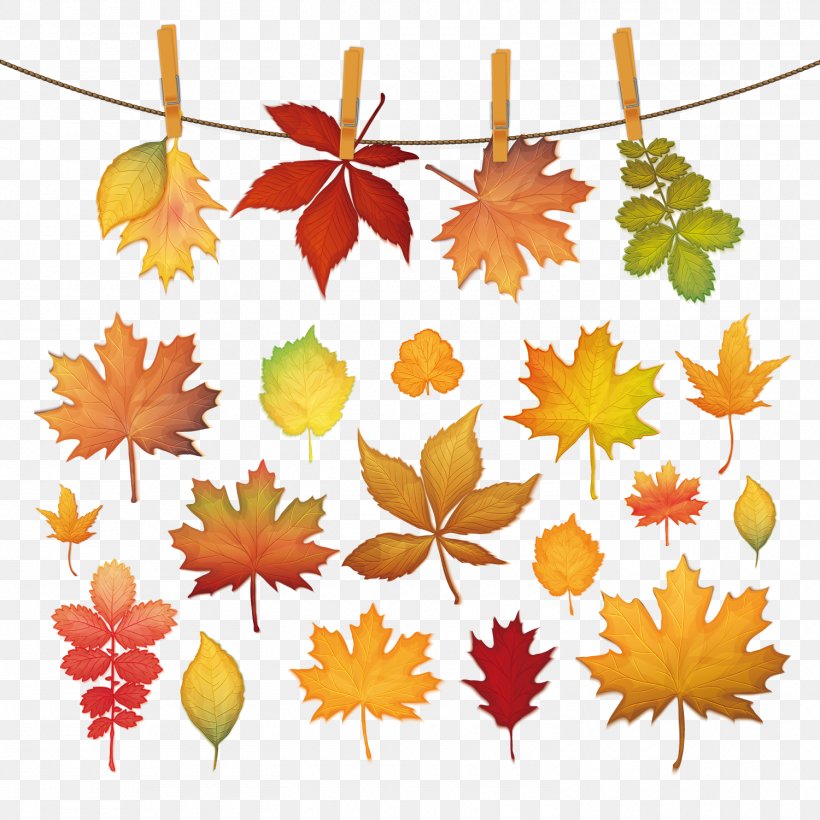 Autumn Leaf Color, PNG, 1500x1500px, Leaf, Autumn, Autumn Leaf Color, Branch, Color Download Free