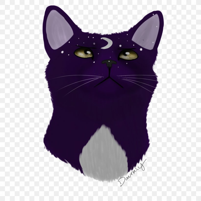 Black Cat Korat Kitten Whiskers Domestic Short-haired Cat, PNG, 894x894px, Black Cat, Black, Black M, Carnivoran, Cat Download Free