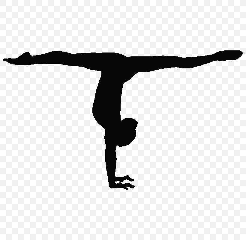 Gymnastics Handstand Balance Beam Split Sport, PNG, 800x800px, Gymnastics, Arm, Artistic Gymnastics, Balance, Balance Beam Download Free