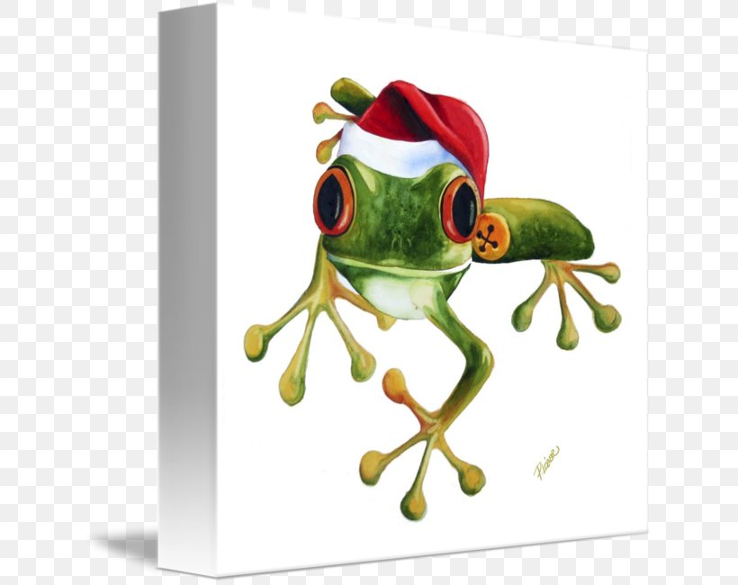 The Tree Frog True Frog Christmas Tree, PNG, 634x650px, Tree Frog, Amphibian, Australian Green Tree Frog, Christmas, Christmas Card Download Free