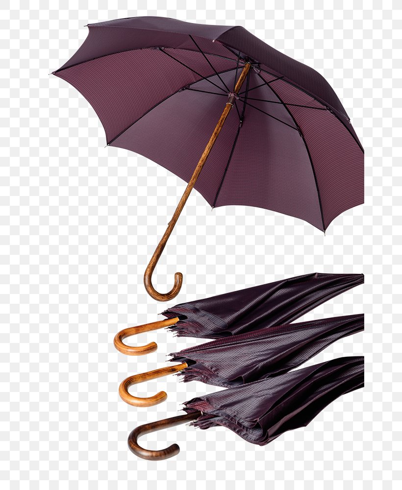 Umbrella, PNG, 666x1000px, Umbrella, Fashion Accessory, Purple Download Free