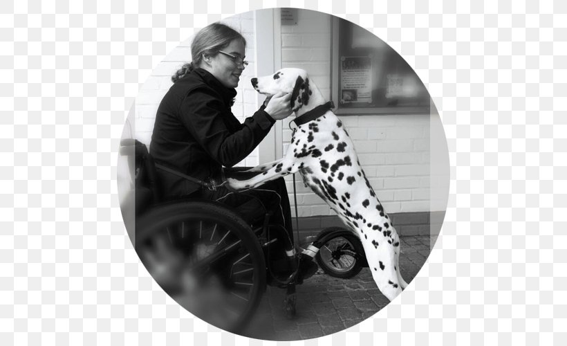 Black And White Wheelchair Walking Human Behavior, PNG, 500x500px, Black And White, Beauty M Kosmetik, Behavior, Dog, Ebook Download Free