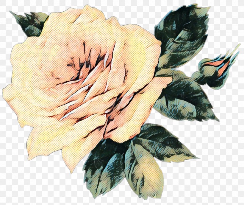 Garden Roses YOSEMITE Album Music Cabbage Rose, PNG, 900x756px, Garden Roses, Album, Astroworld, Botany, By Chance Download Free