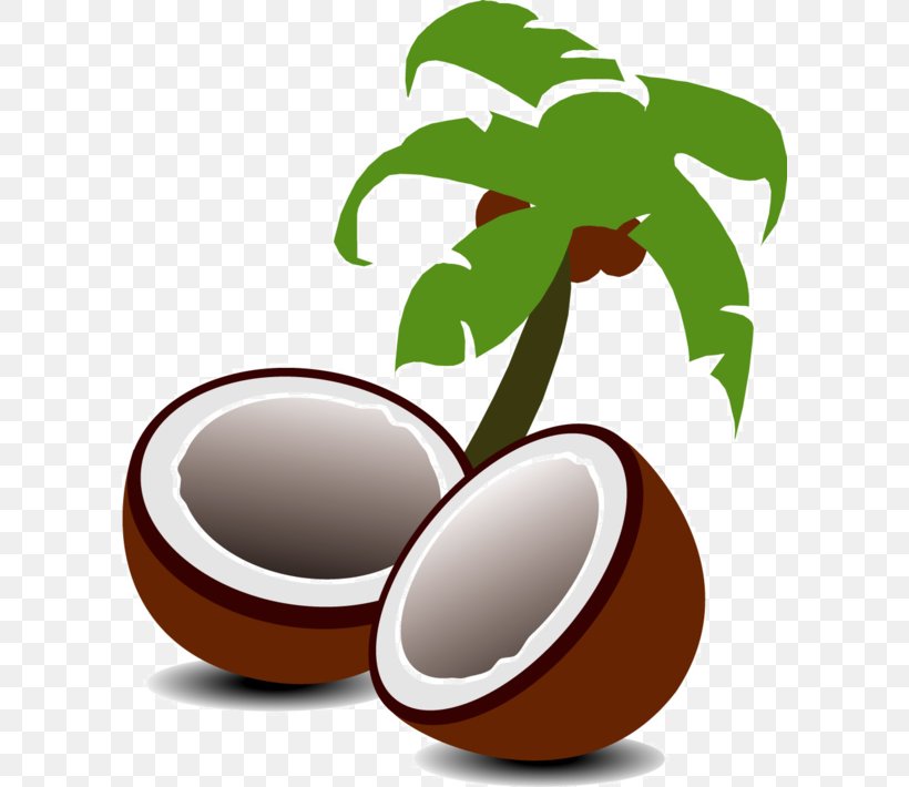 Coconut Arecaceae Tree Clip Art, PNG, 600x710px, Coconut, Arecaceae, Cartoon, Coconut Oil, Drawing Download Free