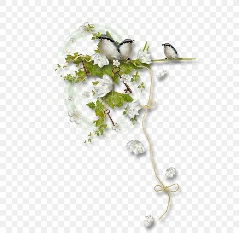 Floral Design Body Jewellery, PNG, 562x800px, Floral Design, Body Jewellery, Body Jewelry, Branch, Flora Download Free