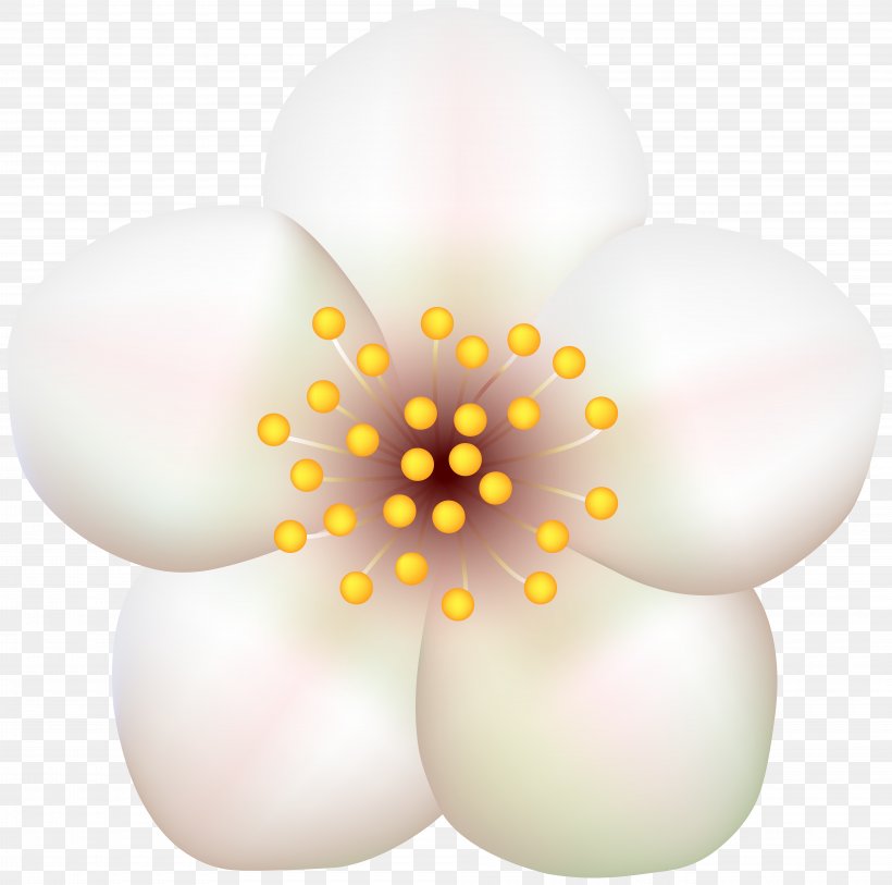 Lighting, PNG, 8000x7934px, Lighting, Flower, Petal Download Free