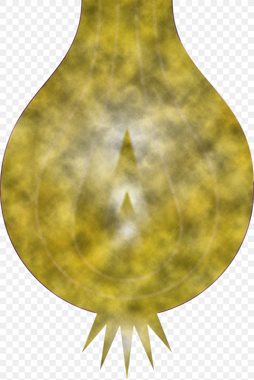 Onion, PNG, 2007x3000px, Onion, Green, Leaf, Metal, Yellow Download Free