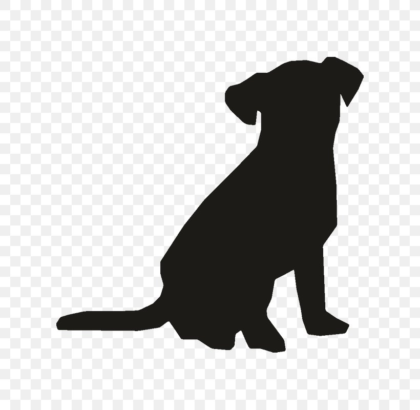 Pet Sitting Cat Dog Horse Deer, PNG, 800x800px, Pet Sitting, Animal, Black, Black And White, Carnivoran Download Free