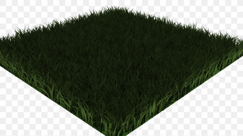 Angle, PNG, 1920x1080px, Grass, Green, Plant Download Free